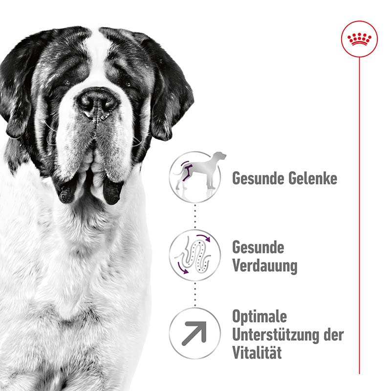 Royal Canin Giant Adult Trockenfutter für sehr große Hunde_1