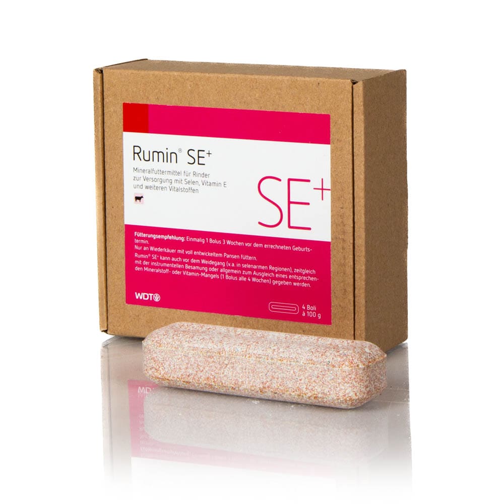 WDT Rumin SE+_0