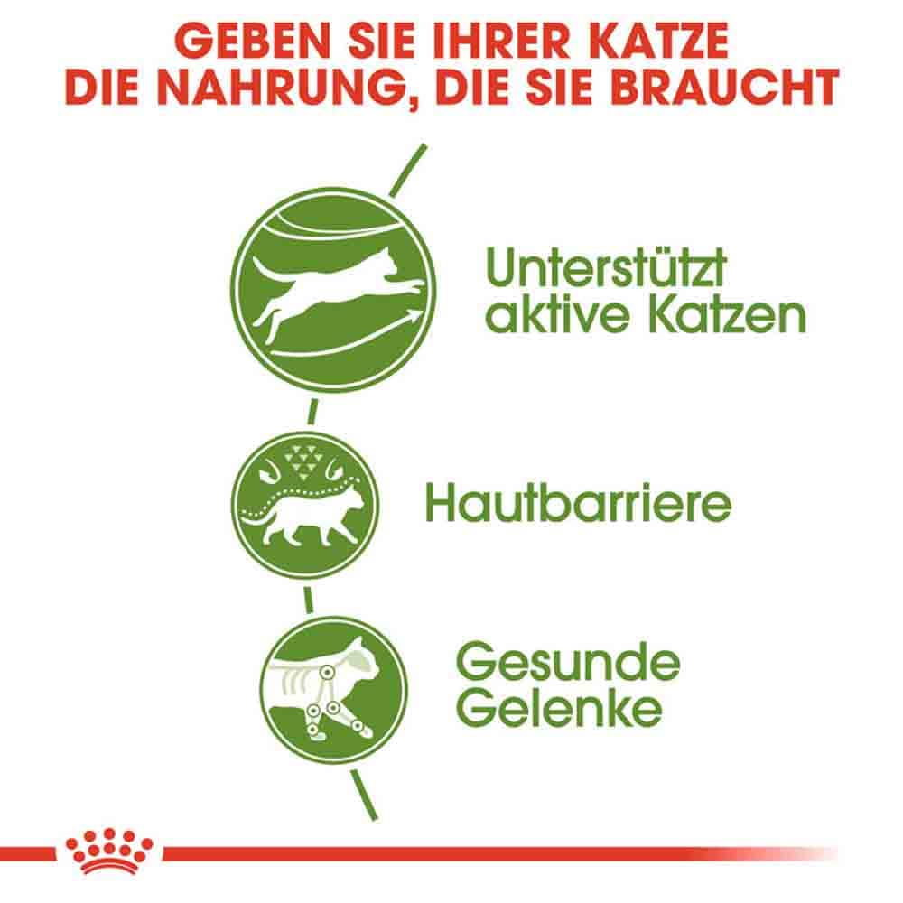 Royal Canin Outdoor Katzenfutter trocken für Freigänger_3