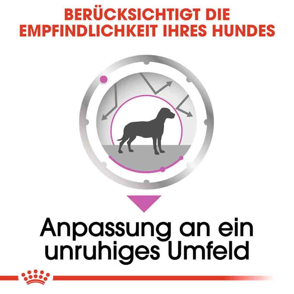 Royal Canin Relax Care Nassfutter für Hunde in unruhigem Umfeld_3