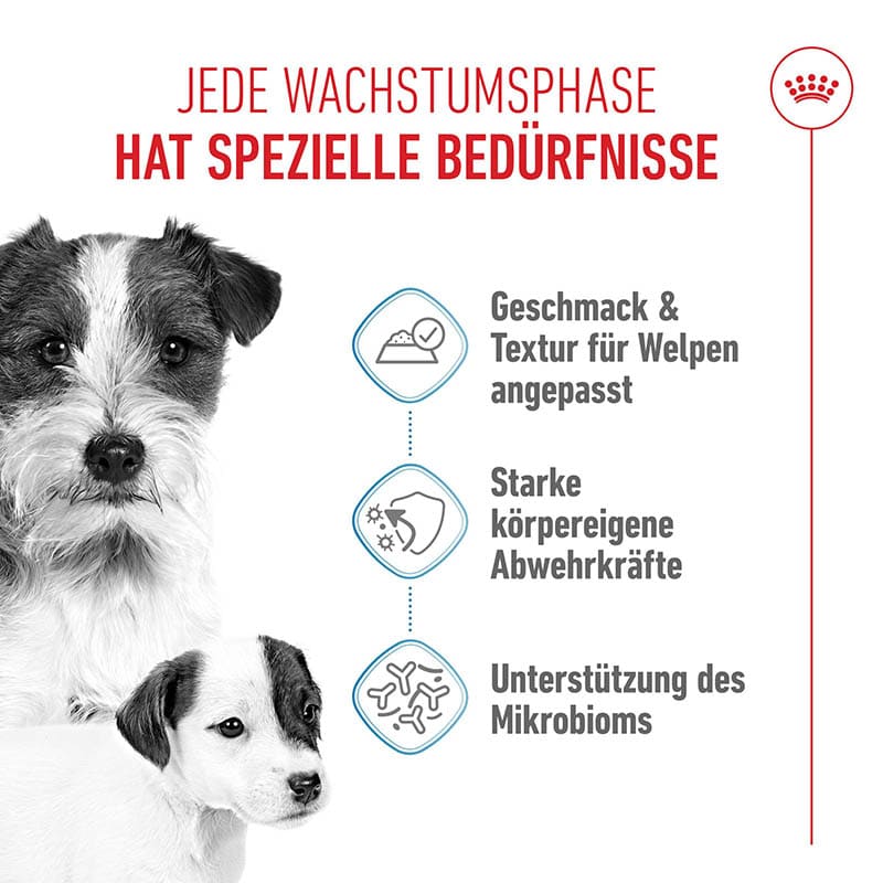 Royal Canin Starter Mousse Mother & Babydog_2