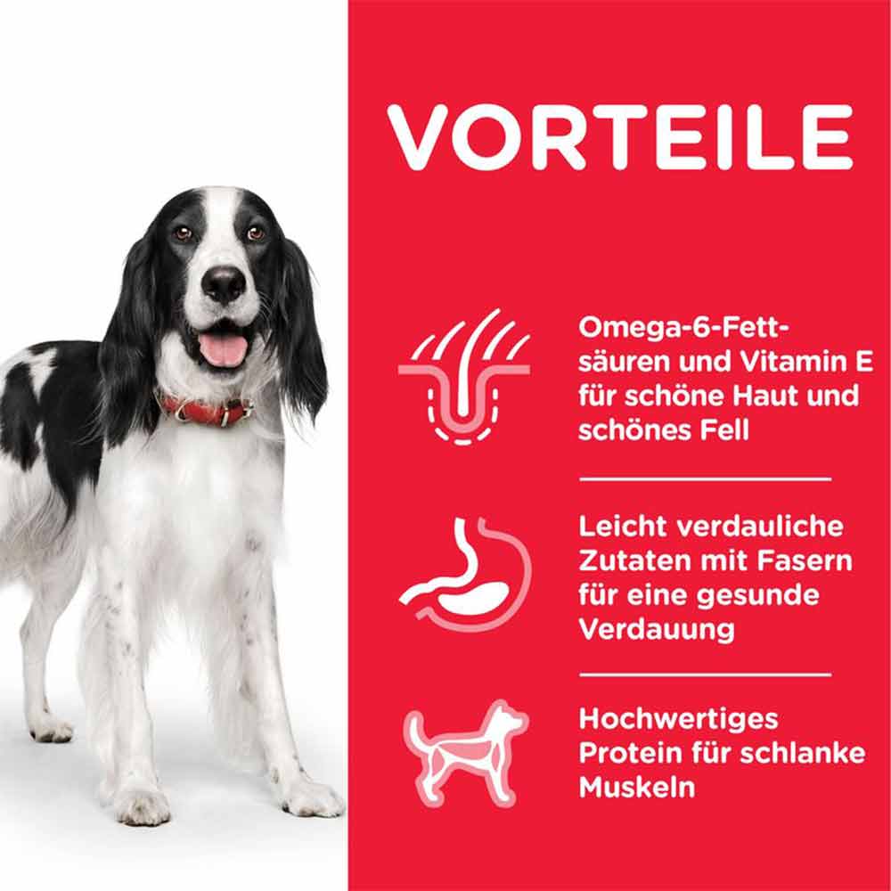 Hills Science Plan Adult Huhn Trockenfutter für Hunde_1