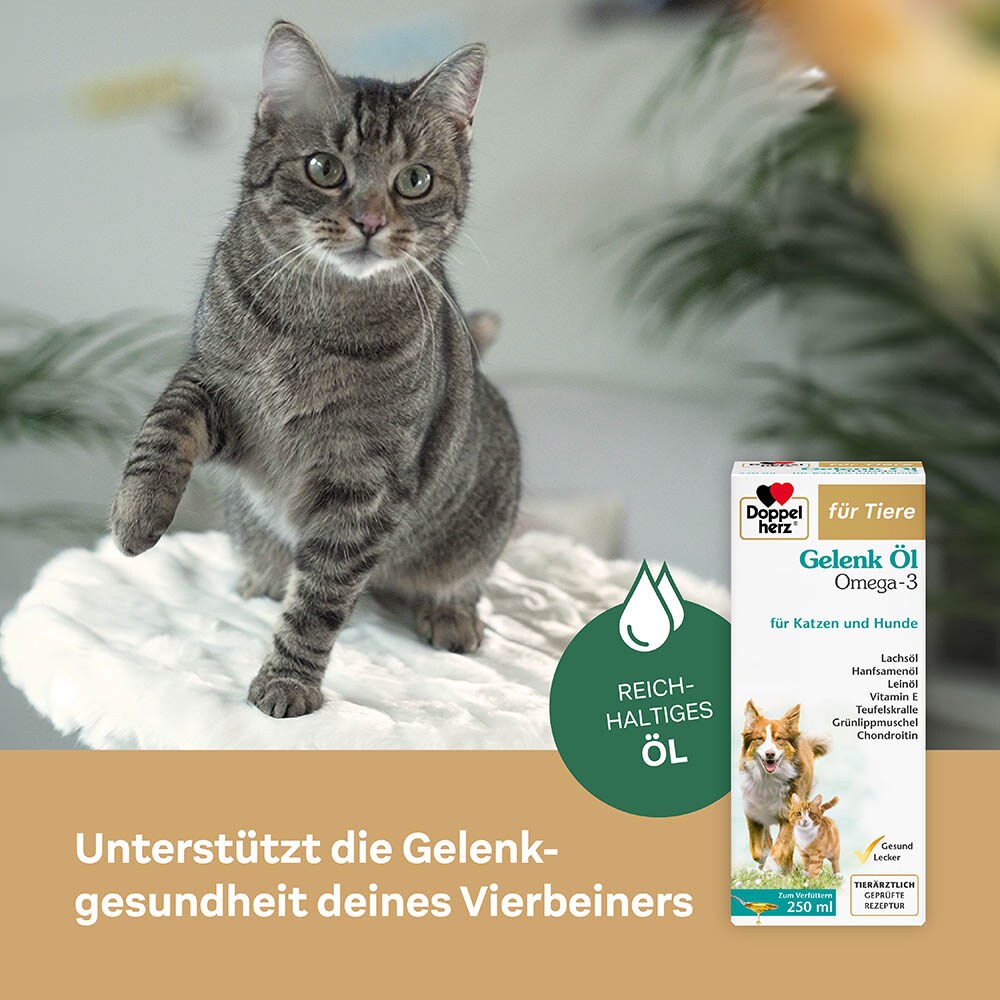Doppelherz Gelenk Öl für Hunde und Katzen_2
