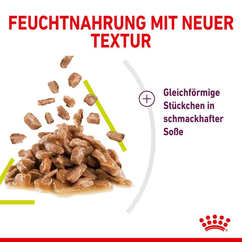 Royal Canin Sensory Smell Nassfutter in Soße für wählerische Katzen_4