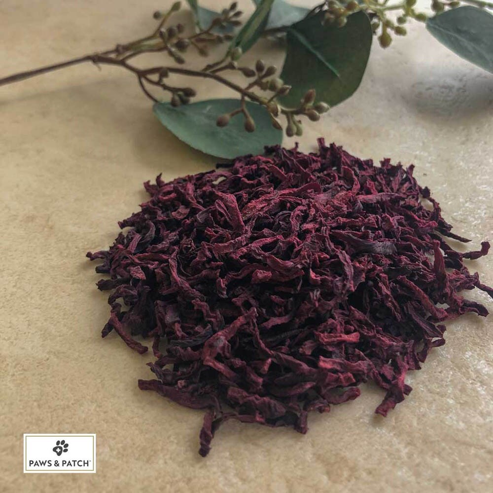 PAWS & PATCH Rote Beete Streifen für Hunde_1