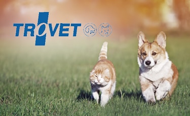 Trovet Trovet