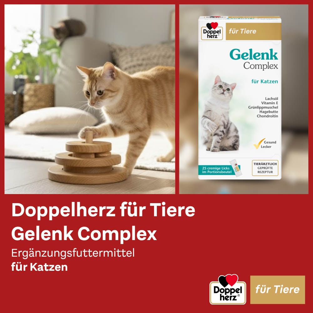 Doppelherz Gelenk Complex für Katzen_3