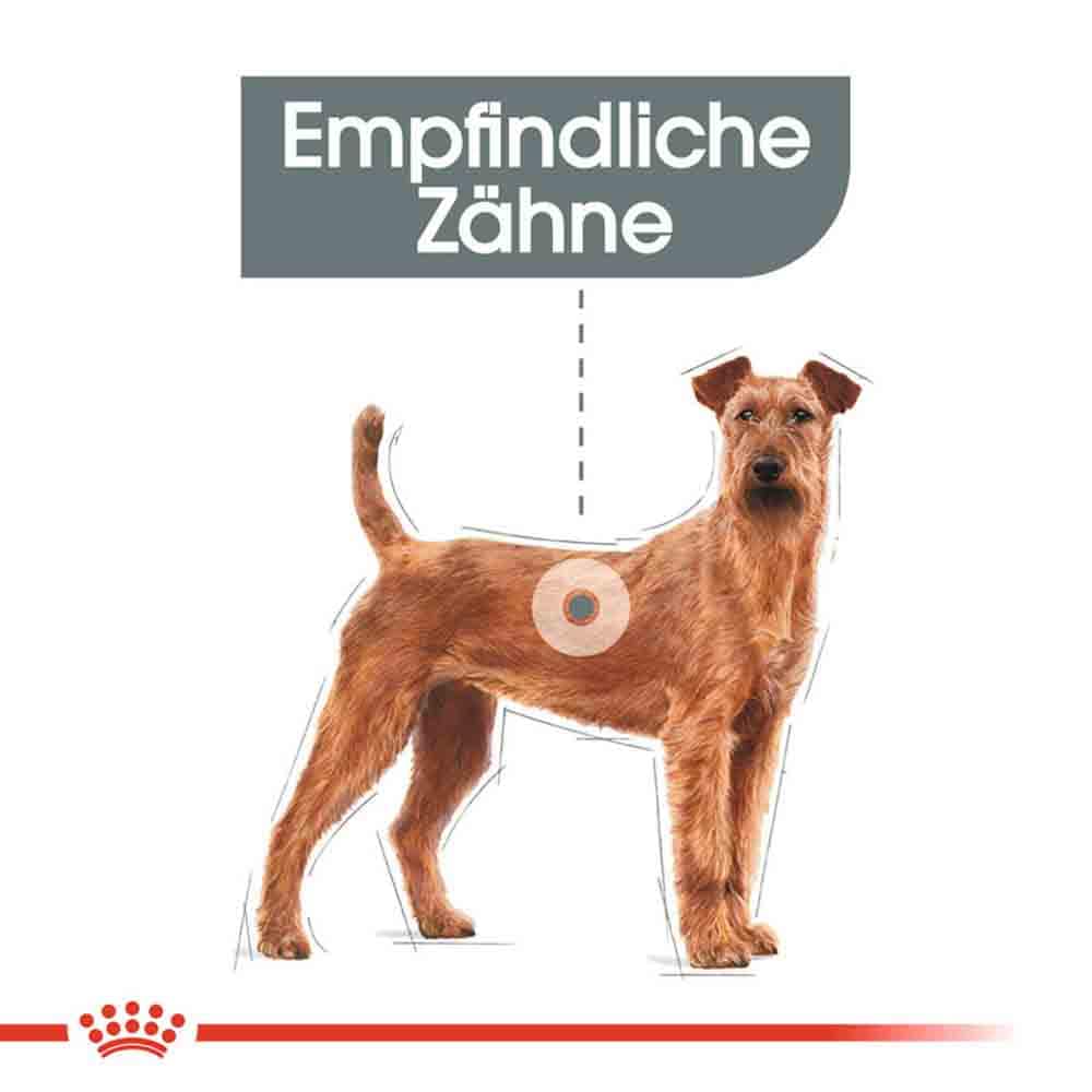 Royal Canin Dental Care Medium Trockenfutter für mittelgroße Hunde mit empfindlichen Zähnen_2