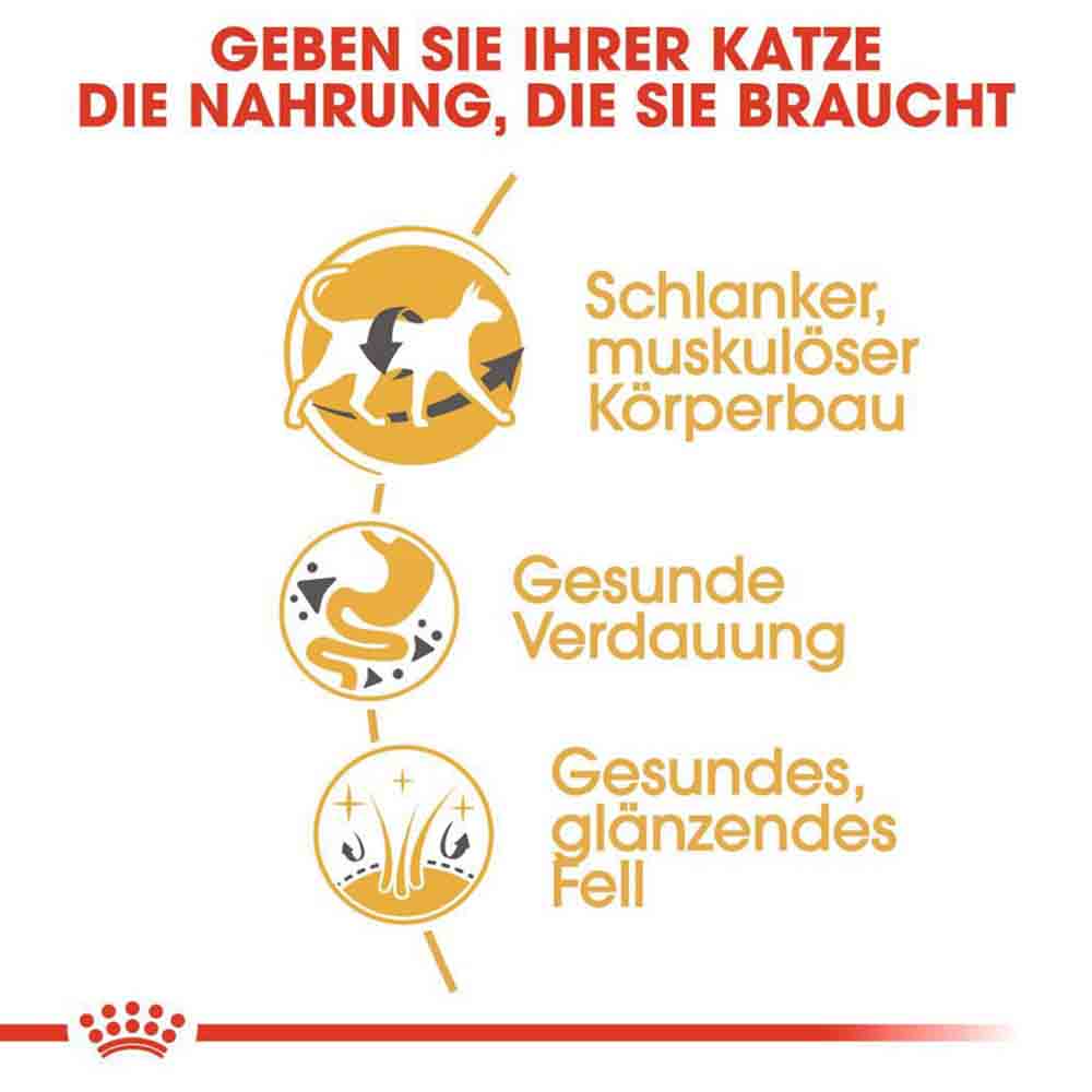 Royal Canin Siamese Adult Katzenfutter trocken_3