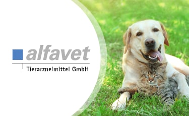 alfavet alfavet