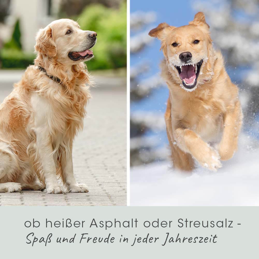 cdVet VeaVet Pfotenpflege_6