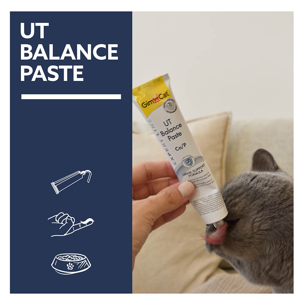 GimCat UT Balance Paste_4