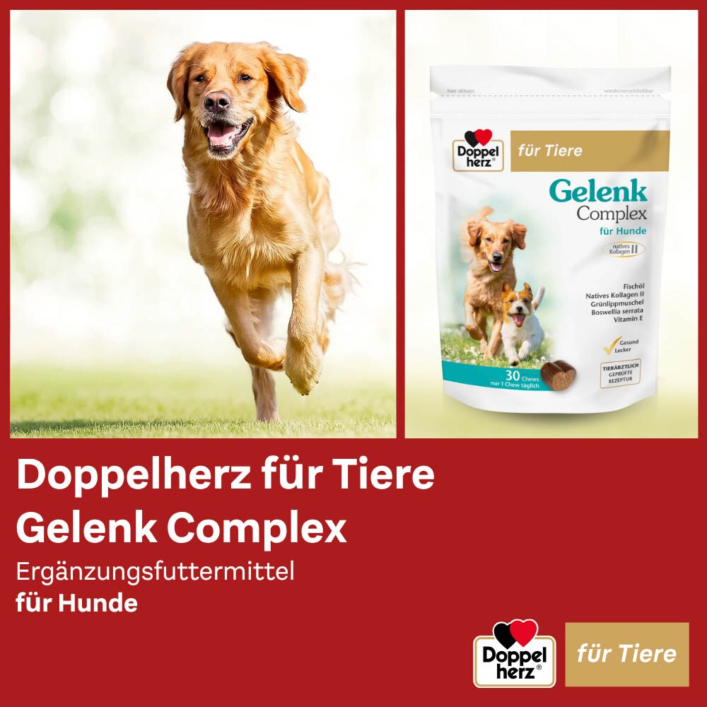 Doppelherz Gelenk Complex für Hunde_3