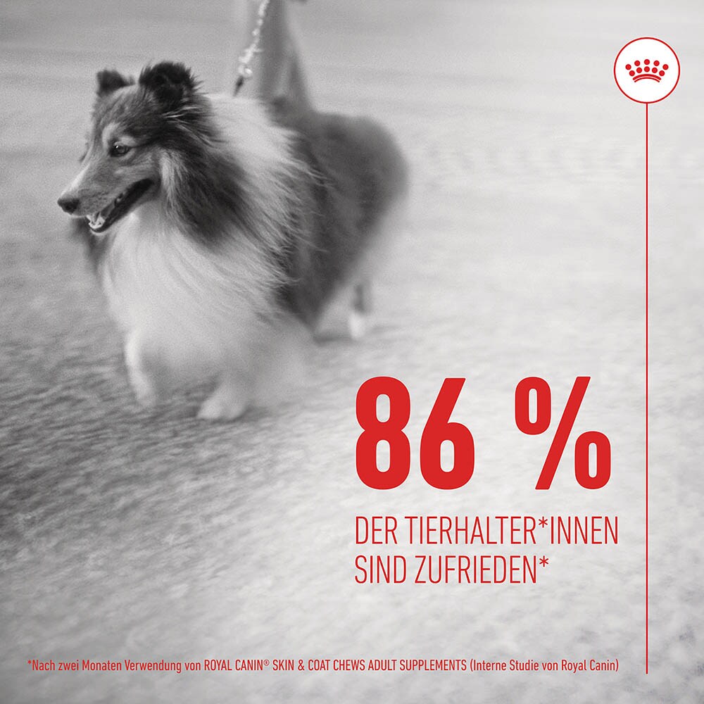 Royal Canin Skin & Coat Chews Adult Supplements_7