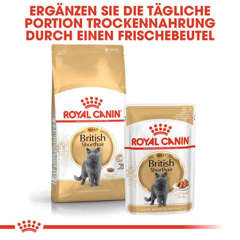 Royal Canin British Shorthair Katzenfutter trocken für Britisch Kurzhaar_5