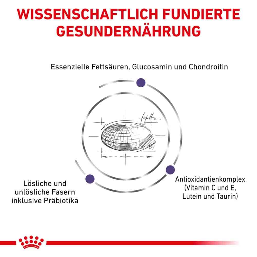 Royal Canin Expert Adult Large Dogs Trockenfutter für Hunde_3