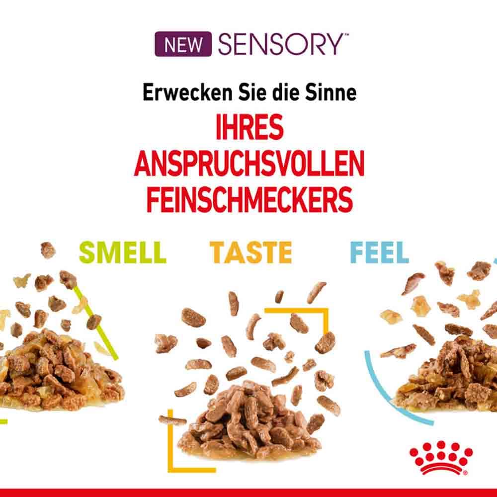 Royal Canin Sensory Taste Nassfutter in Soße für wählerische Katzen_3