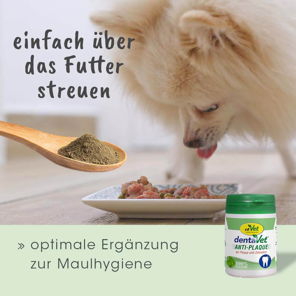 cdVet dentaVet anti-Plaque_7