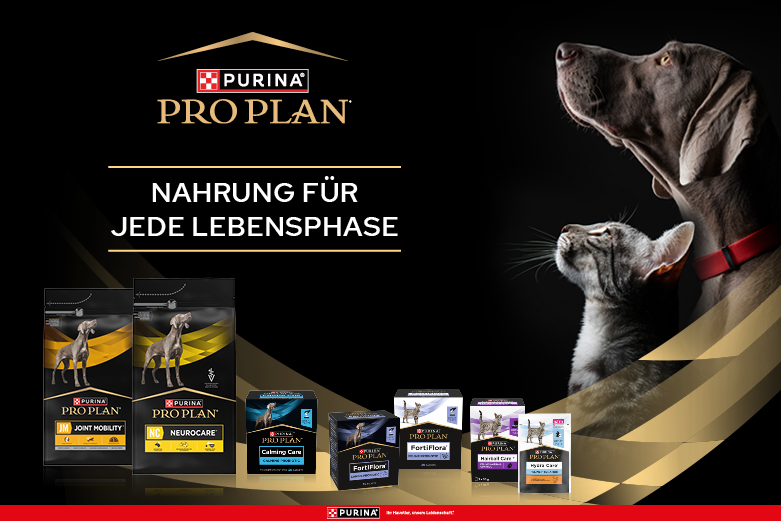 Pro Plan
