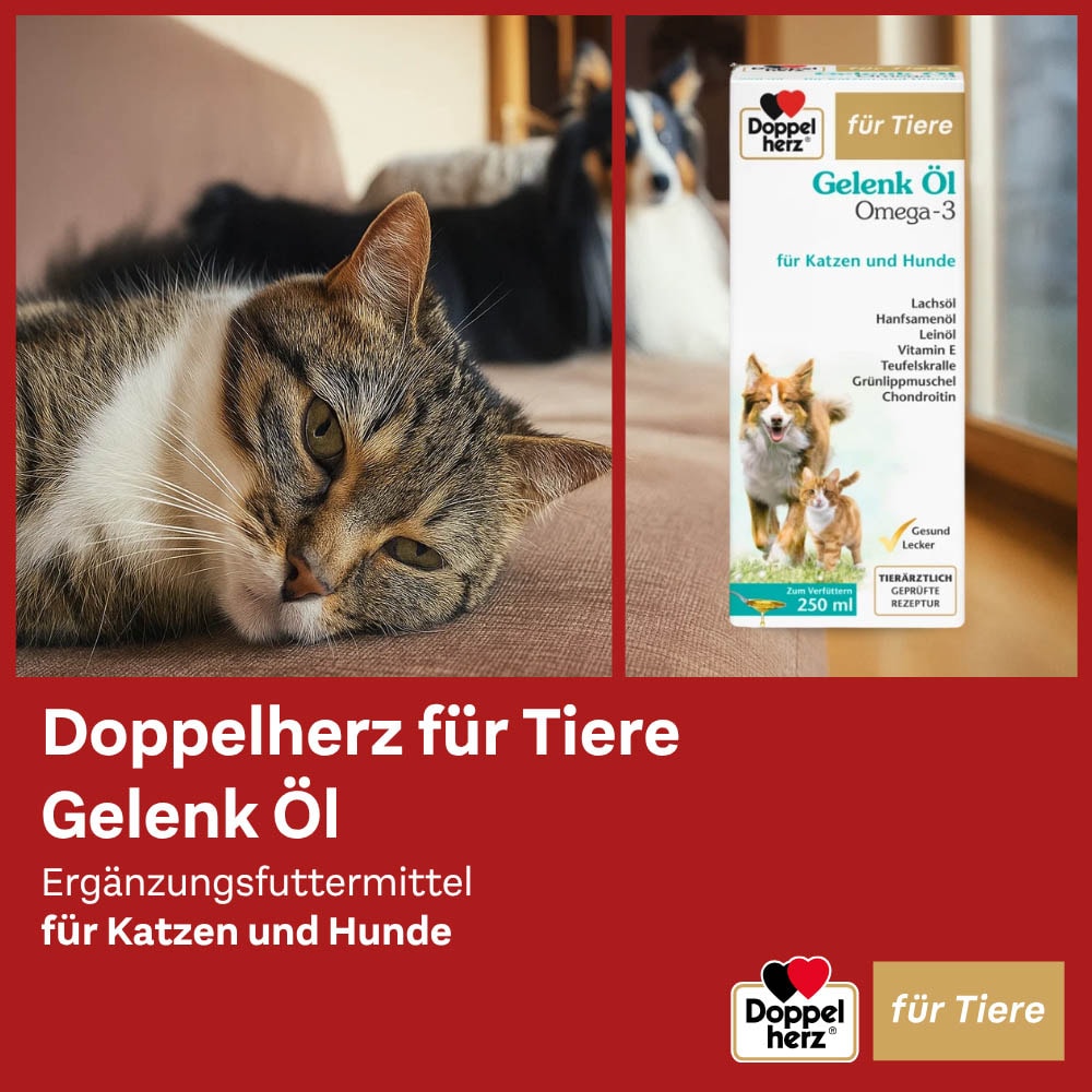 Doppelherz Gelenk Öl für Hunde und Katzen_3