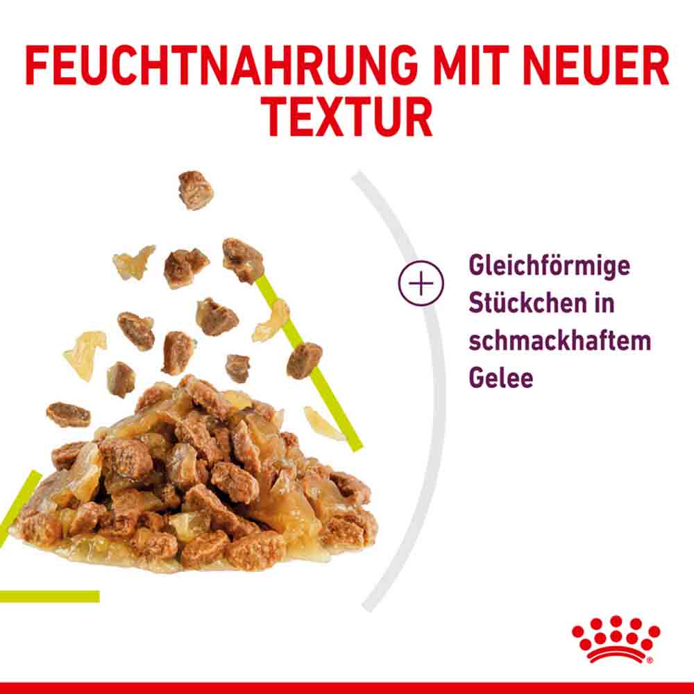 Royal Canin Sensory Smell Smell Nassfutter in Gelee für wählerische Katzen_4