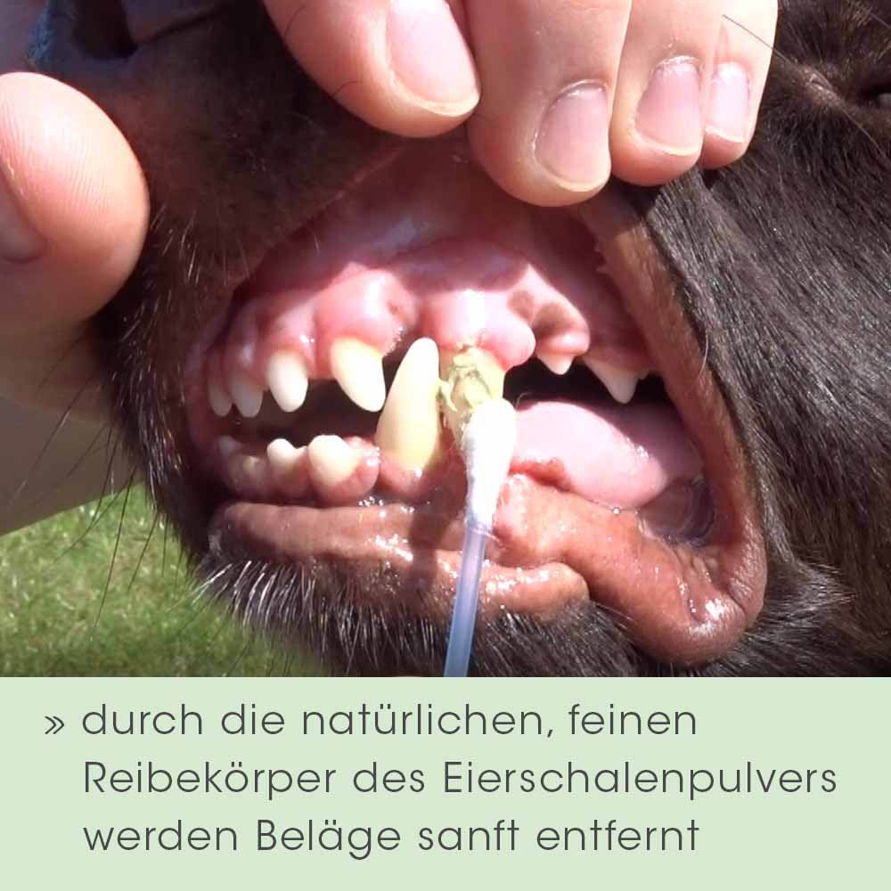 cdVet dentaVet Gel_5