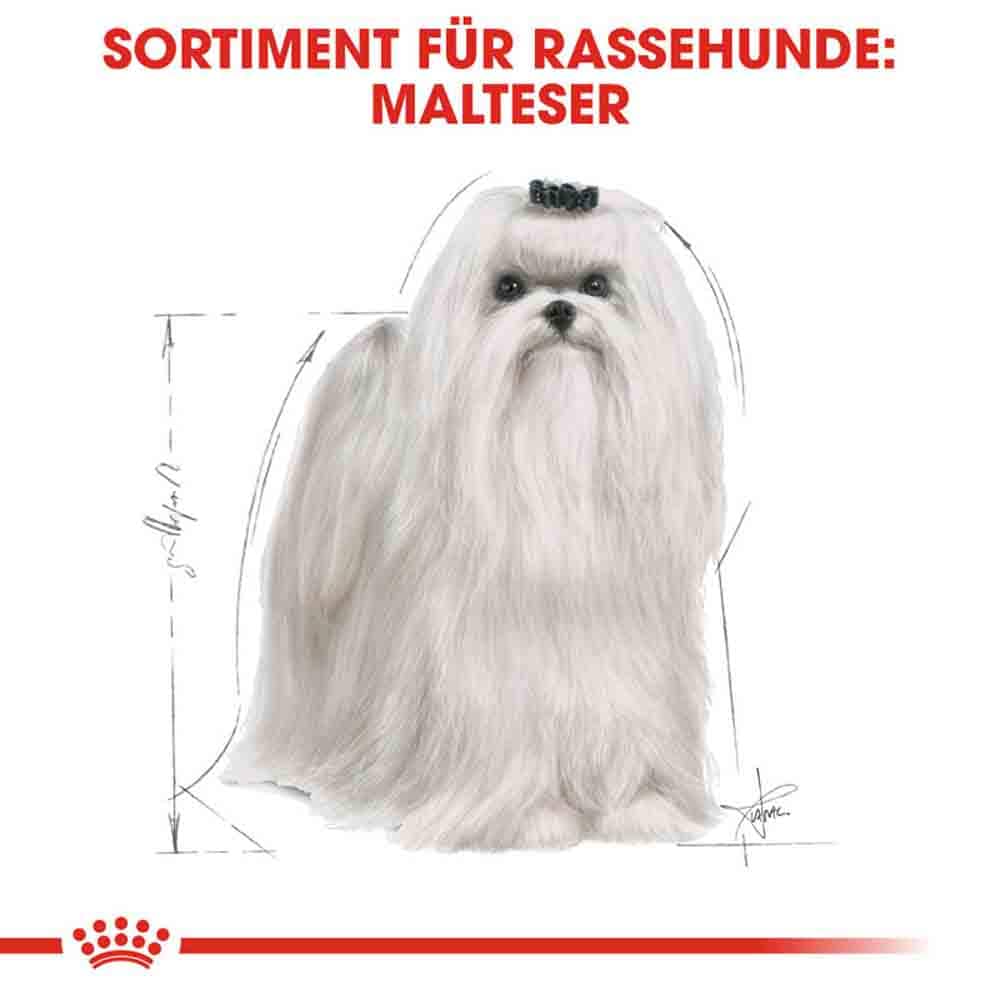 Royal Canin Maltese Adult Hundefutter trocken_2