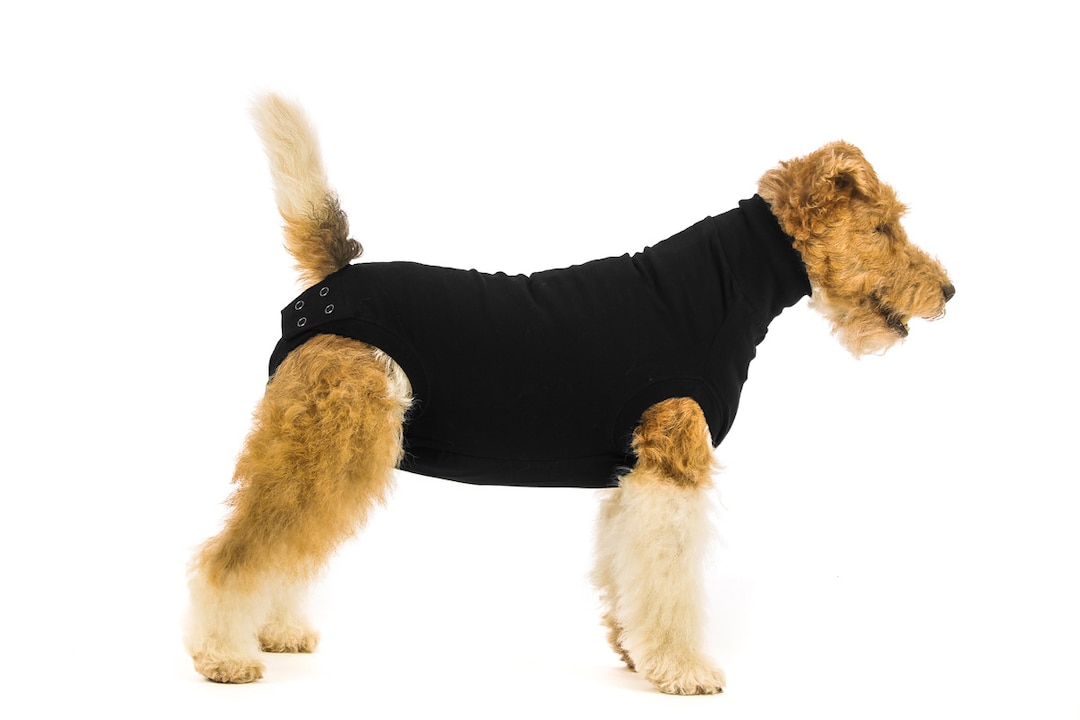 Suitical Recovery Shirt Hund Schwarz_0