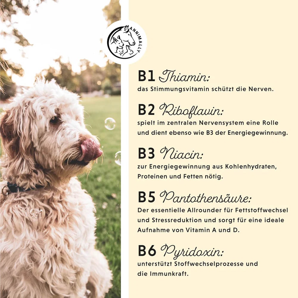 Annimally Vitamin B Komplex_3