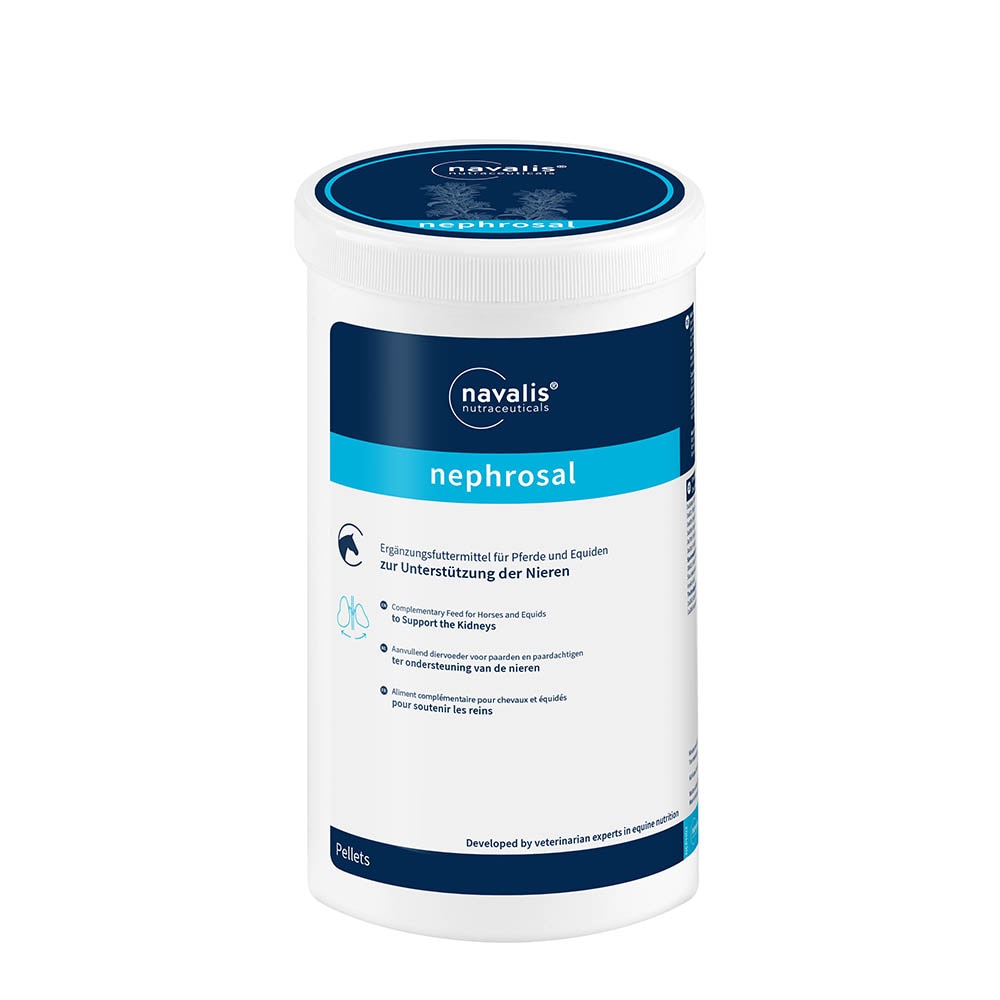 navalis nephrosal Horse_0