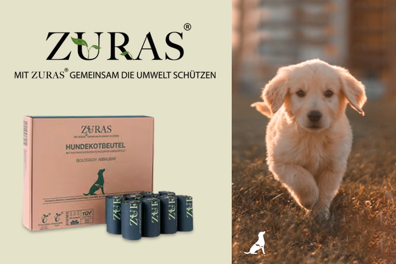 Zuras