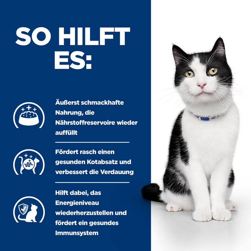 Hills Prescription Diet i/d Dose Katze_3