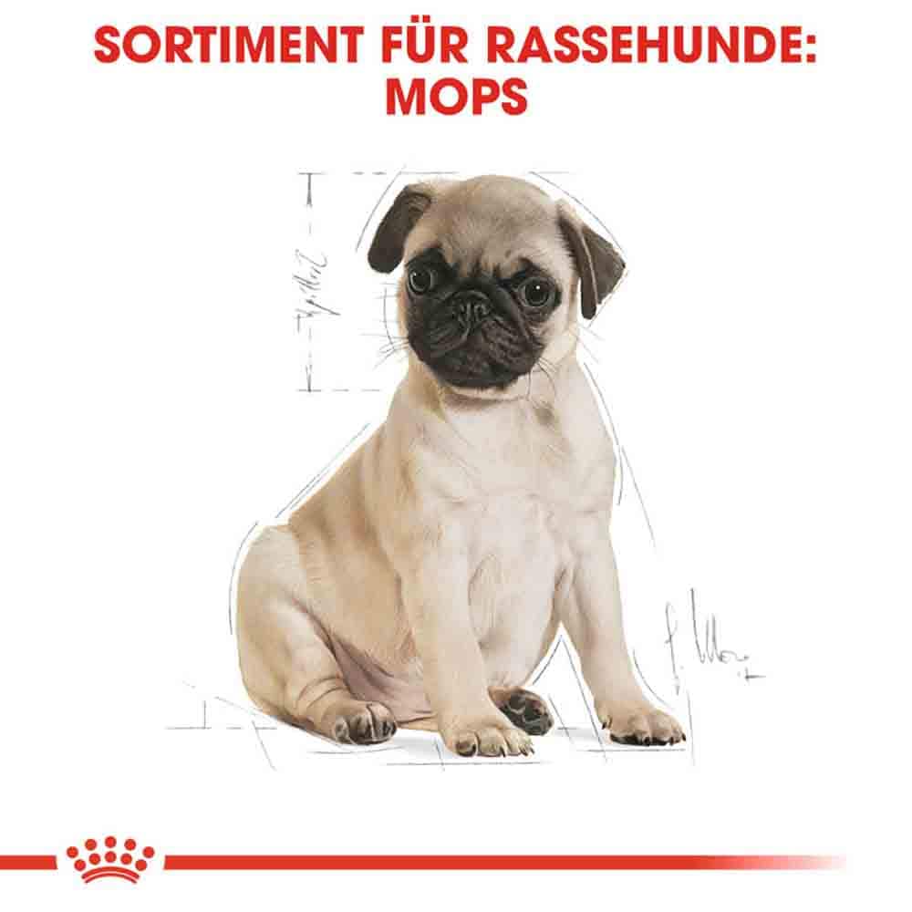 Royal Canin Pug Puppy Welpenfutter trocken_5