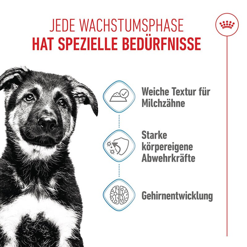 Royal Canin Maxi Puppy Welpenfutter nass für große Hunde bis zum 15. Monat_3