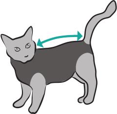 Suitical Recovery Shirt Katze Camouflage Schwarz_1