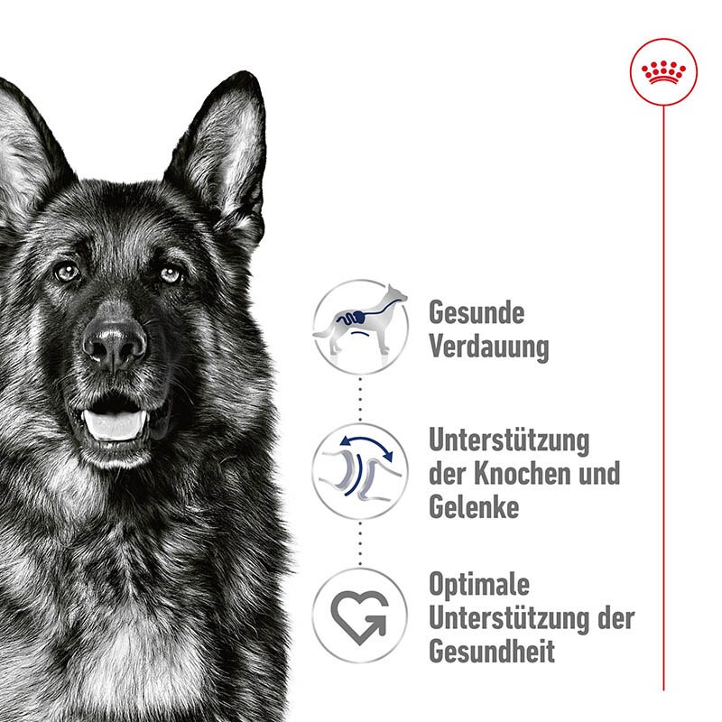 Royal Canin Maxi  Adult  Feuchtnahrung als Stückchen in Soße (>15. Lebensmonat)_1