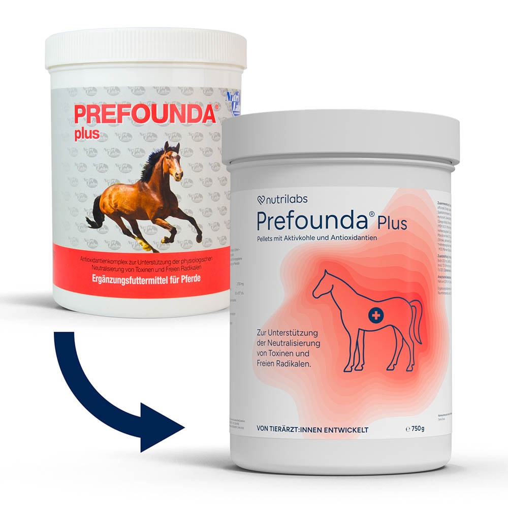 NutriLabs Prefounda plus_1