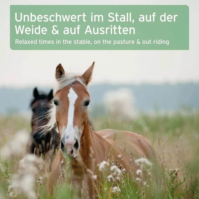 AniForte Bremsen-EX Spray_5