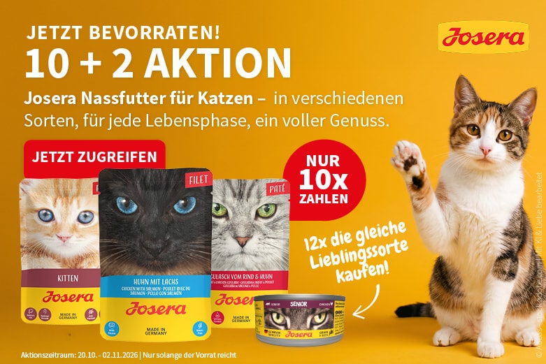 Aktion Aktion