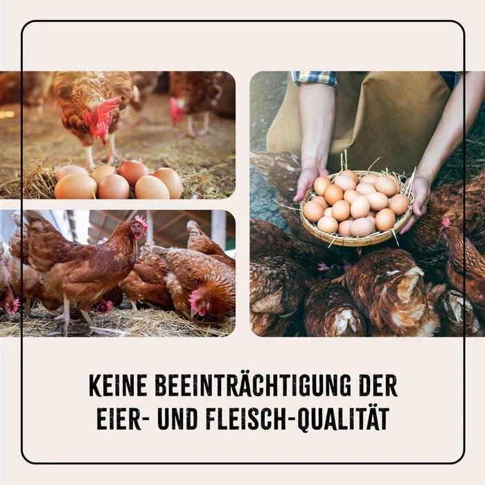 AniForte Kieselgur Pulver für Geflügel_4