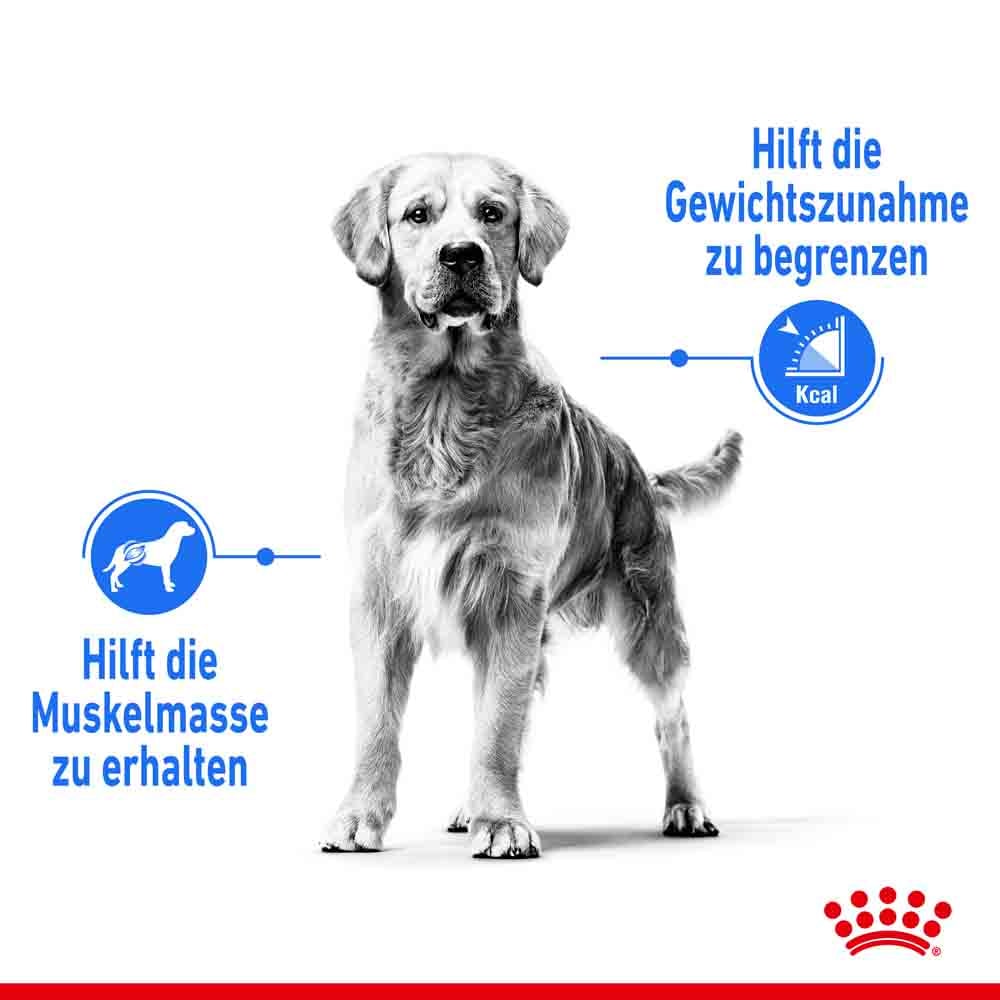 Royal Canin light weight care Maxi Trockenfutter für zu Übergewicht neigenden Hunden_2