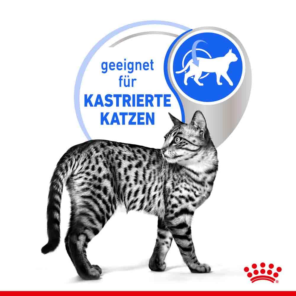 Royal Canin Indoor Sterilised in Soße Nassfutter für Wohnungskatzen_3