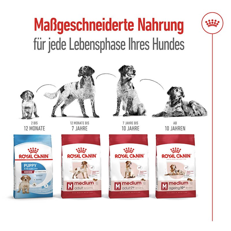 Royal Canin Medium Adult 7+ Trockenfutter für ältere mittelgroße Hunde_5