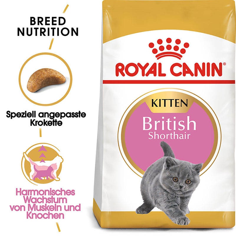 Royal Canin British Shorthair Kittenfutter trocken für BKH Kätzchen _0