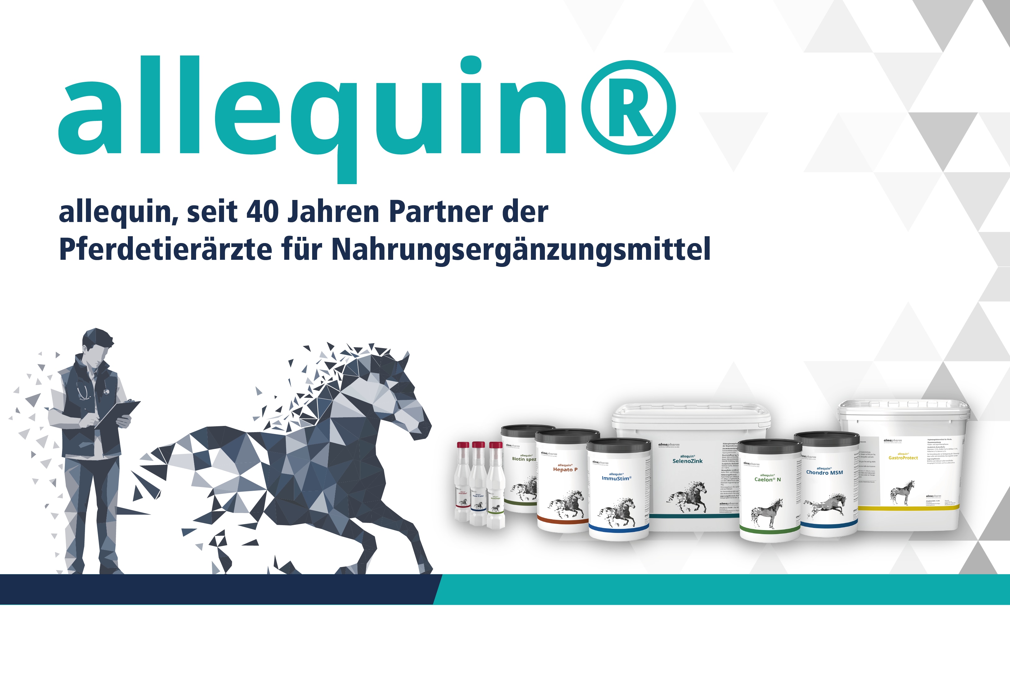 allequin allequin