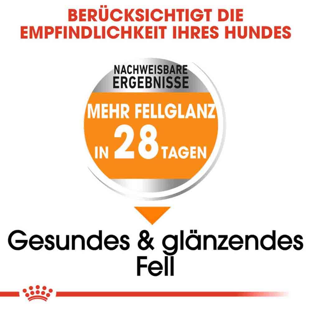 Royal Canin Coat Care Mini Trockenfutter für kleine Hunde für glänzendes Fell_3