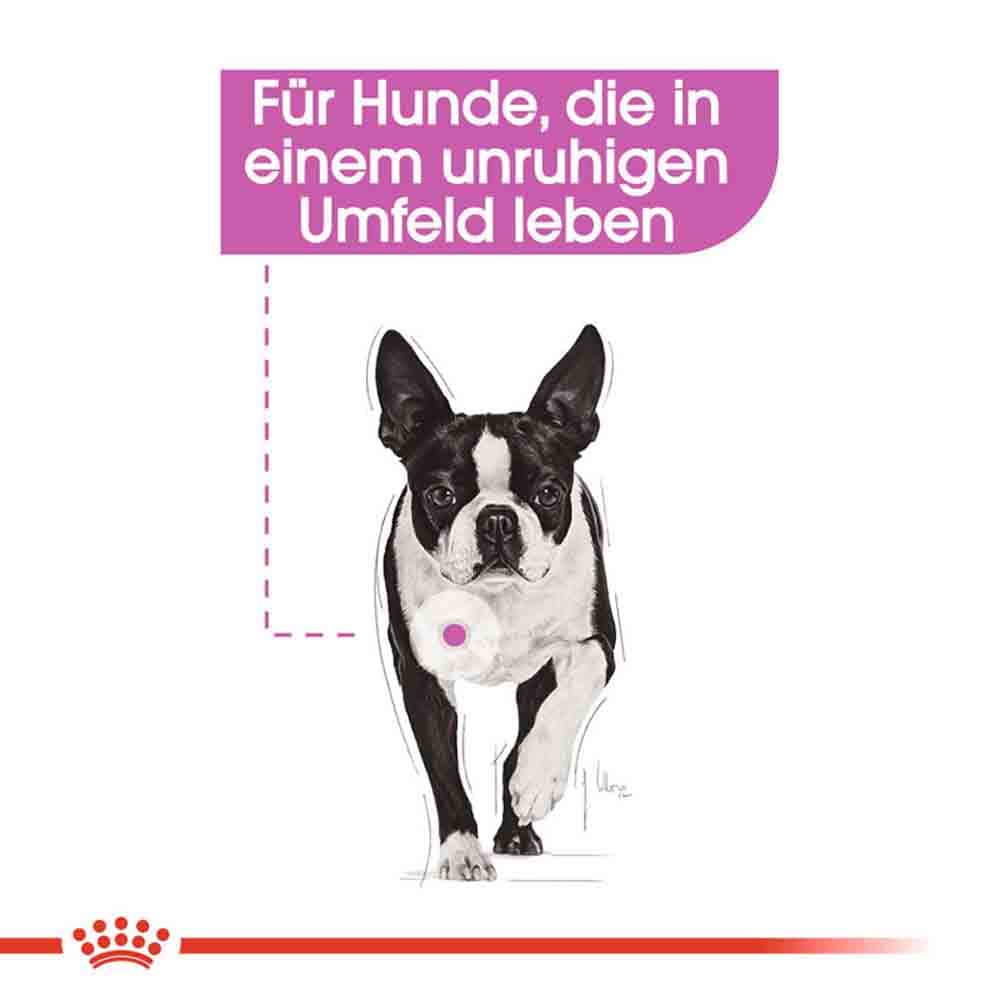 Royal Canin Relax Care Nassfutter für Hunde in unruhigem Umfeld_2