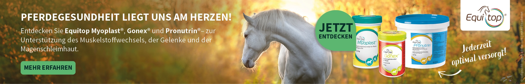 Equitop