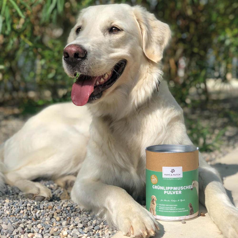 PAWS & PATCH Grünlippmuschel Pulver für Hunde, Katzen und Pferde_1