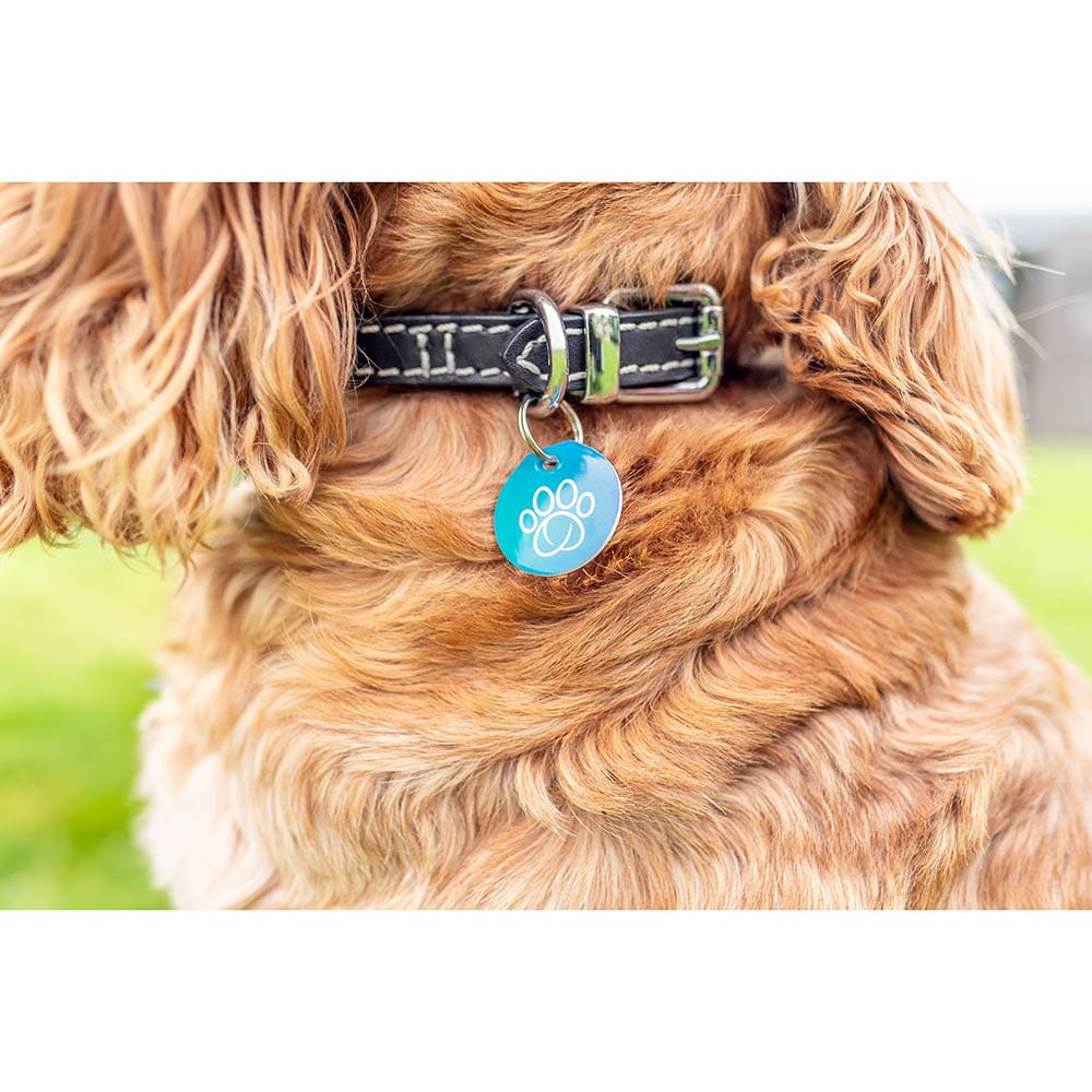 Sure Petcare RFID-Halsbandanhänger_2